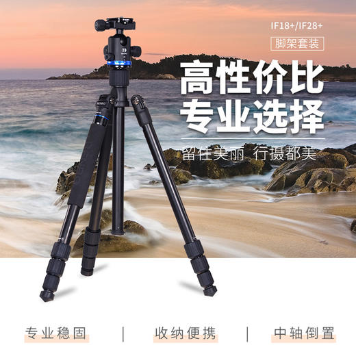 狼族优选丨百诺专业单反摄影三脚架IF18+ 稳定便携收纳三脚架 商品图4