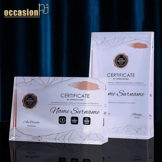 彩印奖牌 商品图2