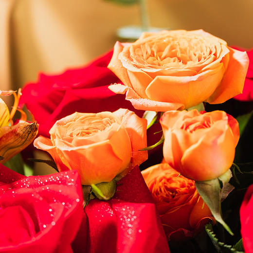 【最美时光-鲜花1束】“”玫”好，是给你最好的爱 精致、可爱、甜美，送给你想守护一生的ta（重庆） 商品图3