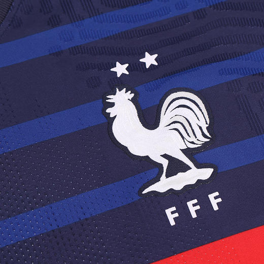 NIKE/耐克2020欧洲杯法国球员版主场短袖球衣男CD0586-4 商品图2