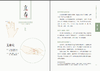 二十四节气养生书  南京中医药大学博士 医学世家传承人  彭温雅的中医养生术 商品缩略图7