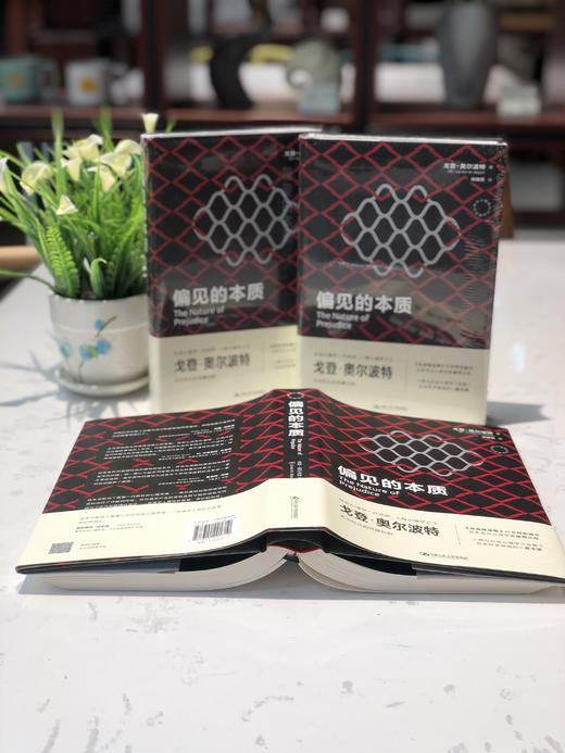 偏见的本质（西方心理学大师经典译丛） 商品图3