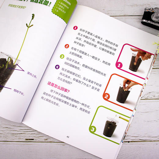 玩转科学：让孩子像科学家一样思考（精华版） 商品图7