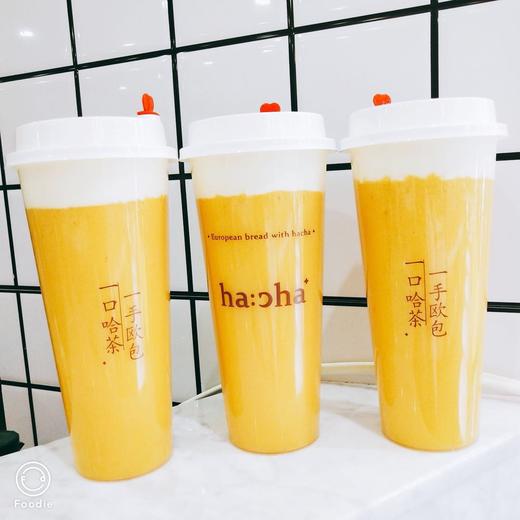 芝士芒芒 商品图0