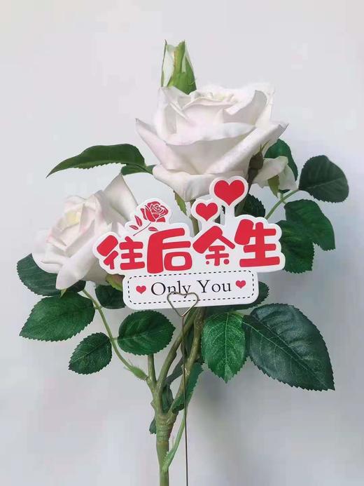 520 个性 字母卡 商品图10