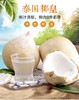 泰国椰皇 老树果 商品缩略图0