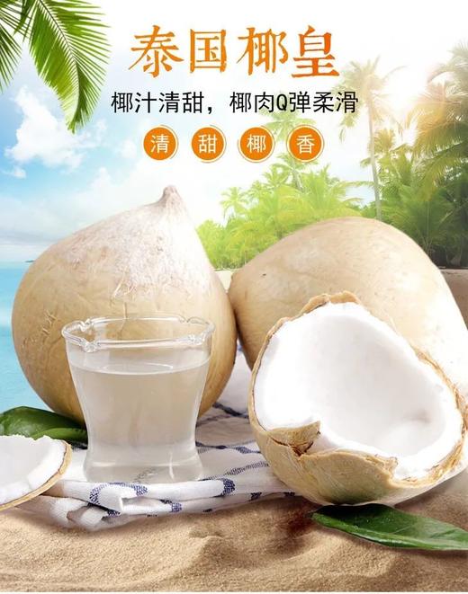 泰国椰皇 老树果 商品图0