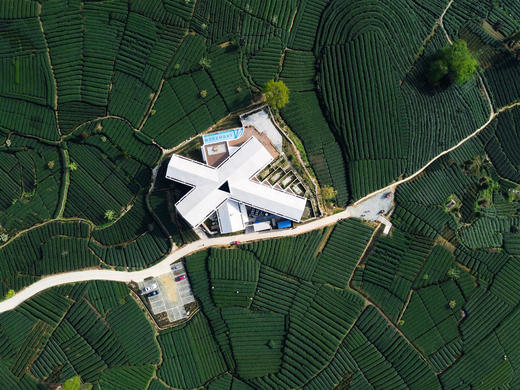 【雅安#152号民宿】单房预定，13房的茶园民宿，位于万亩茶园之巅，俯瞰整个茶海，无边泳池CA 商品图0