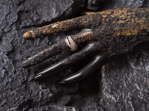 CHEZ BOQUE 羁绊系列原创手工925银戒指《缠绕11号》 商品图2