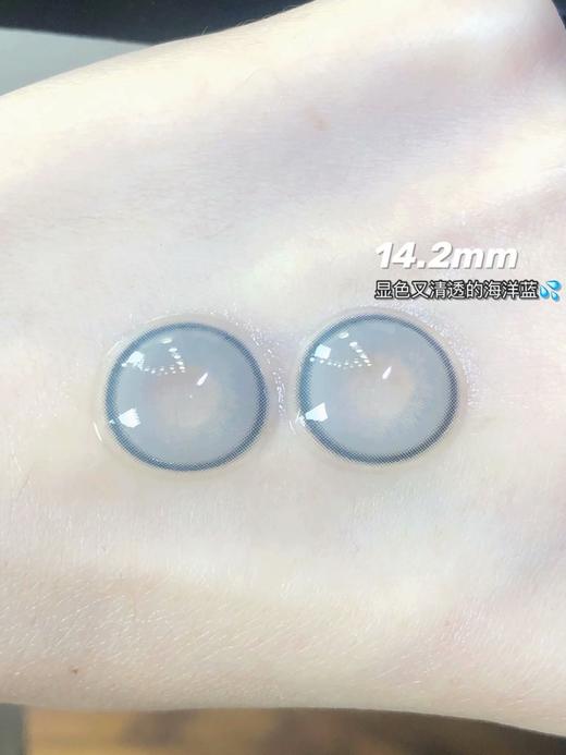 Lisance旗下 · Nomi系列三色 · 猫咪小蓝｜14.0mm中等直径 商品图6