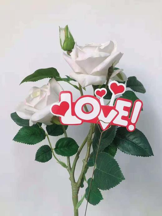 520 个性 字母卡 商品图8