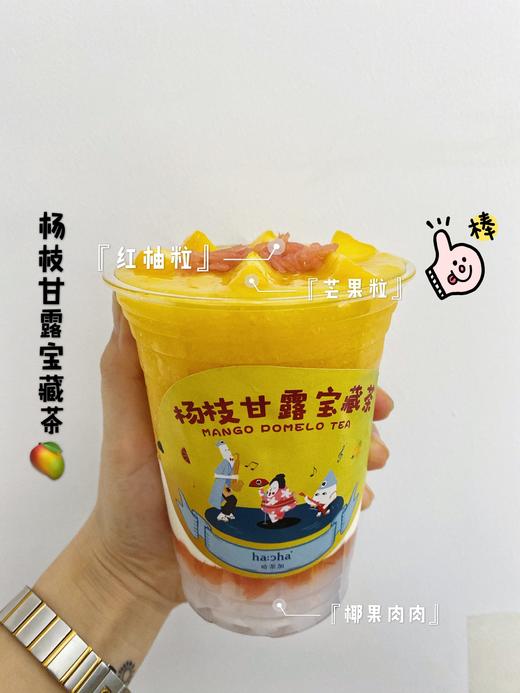 杨枝甘露宝藏茶 商品图1