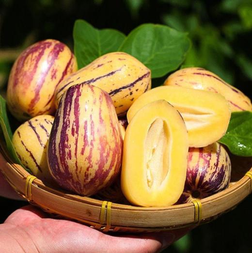 【甘肃民勤沙漠人参果】清甜多汁、果肉嫩滑、清甜多汁 商品图1