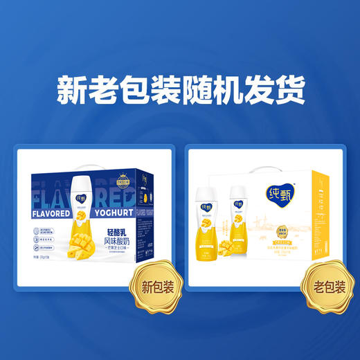 纯甄轻酪乳芒果芝士味风味酸牛乳PET瓶230g×10瓶（礼盒装） 商品图1