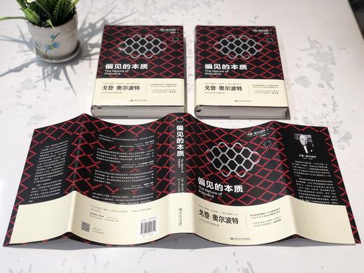 偏见的本质（西方心理学大师经典译丛） 商品图6