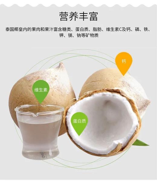 泰国椰皇 老树果 商品图2