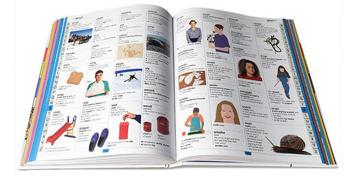 DK儿童图解字典词典 英文原版 Children's Illustrated Dictionary 儿童英语学习工具书 英文版 彩色插图 英文版进口原版书籍 商品图2