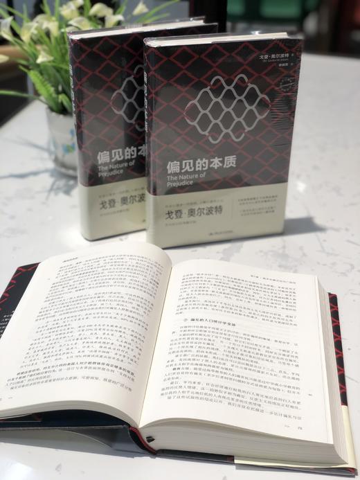 偏见的本质（西方心理学大师经典译丛） 商品图4