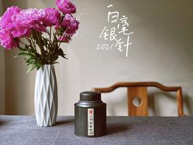 神奇水膜裹住毫香花香，2021年一级白毫银针含香而来（50克品鉴装）