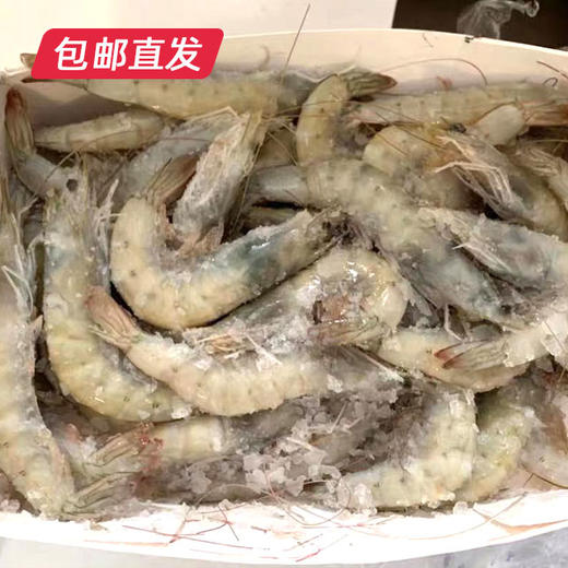 【海头渔夫】青岛海捕大鲜虾 鲜活速冻 4斤装（净重约3.5斤） 包邮直发 商品图2