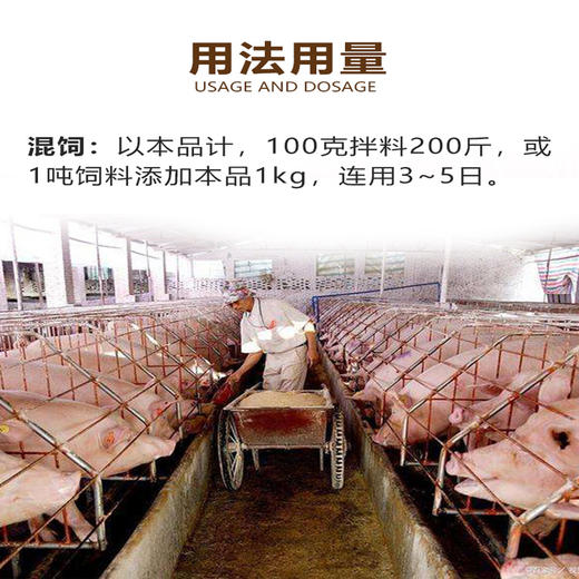 恩诺沙星包被恩味畜禽病毒性细菌性呼吸道特效畜禽药猪药禽药100g/500g 商品图1