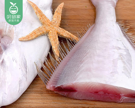 本港大剥皮鱼（去头去肚切段）/1份（约400g）生产日期：25年7月补单专用 商品图1