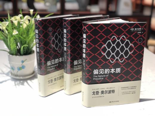 偏见的本质（西方心理学大师经典译丛） 商品图5