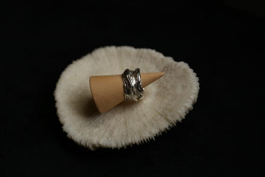 CHEZ BOQUE 羁绊系列原创手工925银戒指《缠绕26号》 商品图3