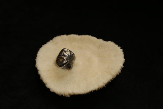 CHEZ BOQUE 原创手工925银抽象造型戒指 - 黑瞳 商品图1