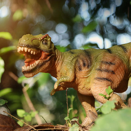 新凯纳儿童仿真大号软胶霸王龙三角龙恐龙模型男孩玩具动物礼物 商品图0