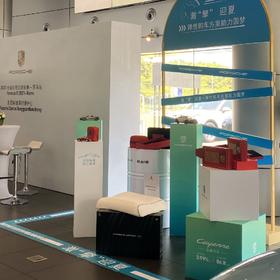 价值13000 保时捷生活系列4D高端凝胶枕 改善睡眠 120块立体凝胶块+18个透气孔+24条纵横导热轨道+DOW PUT抗菌膜+SLEEP CHIP-18睡眠芯片 拍两个减120 预售