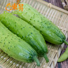 东升农场 旱黄瓜 秋黄瓜 青菜胡瓜 广州蔬菜新鲜配送 400g 商品缩略图3