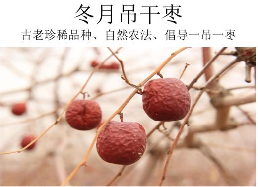 自然农法冬月吊干枣 500克 商品图1