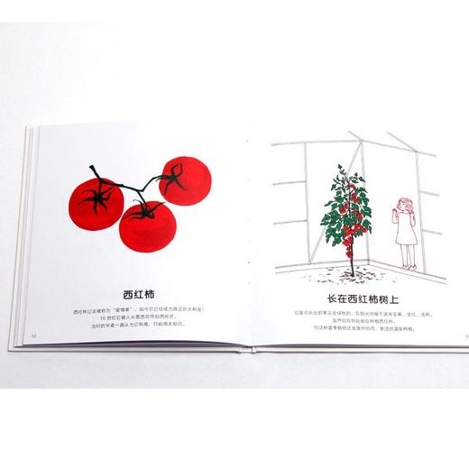 浪花朵朵 呀！蔬菜水果生长来历认知大全儿童早教科普绘本 商品图1