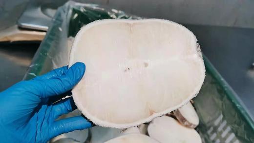 托盘装法国银鳕鱼托盘装 鱼肉香嫩可口 商品图4