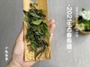 众口皆碑的2021春寿眉升级版，2021有机春寿眉（1斤收藏装） 商品缩略图2