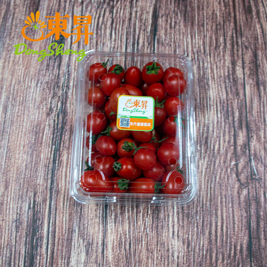 东升农场   圣女果 樱桃小番茄 小西红柿水果珍珠小番茄 广州蔬菜新鲜 500g 商品图4