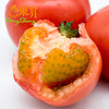 东升农场 粉番茄  粉西红柿 广州蔬菜新鲜配送 500g 商品缩略图2