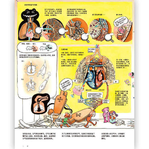 浪花朵朵如何制作一个哥哥儿童人体结构画图书册科普绘本1 商品图2