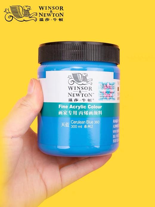 温莎牛顿画家专用丙烯颜料300ml 商品图1