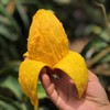 海南贵妃芒树上熟4斤装（9-18枚左右） 商品缩略图0