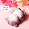 【520情人节】优客至品可爱猫咪盲盒手办装饰摆件5只精美礼盒套装 商品缩略图2