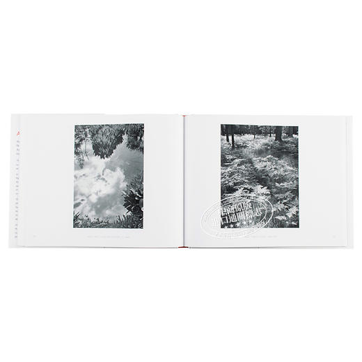 【中商原版】Ansel Adams' Yosemite 英文原版 安塞尔·亚当斯 商品图5