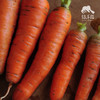 有机胡萝卜 | 合作生产*Organic Carrot | Coproduction 商品缩略图0