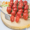 东升农场   圣女果 樱桃小番茄 小西红柿水果珍珠小番茄 广州蔬菜新鲜 500g 商品缩略图2