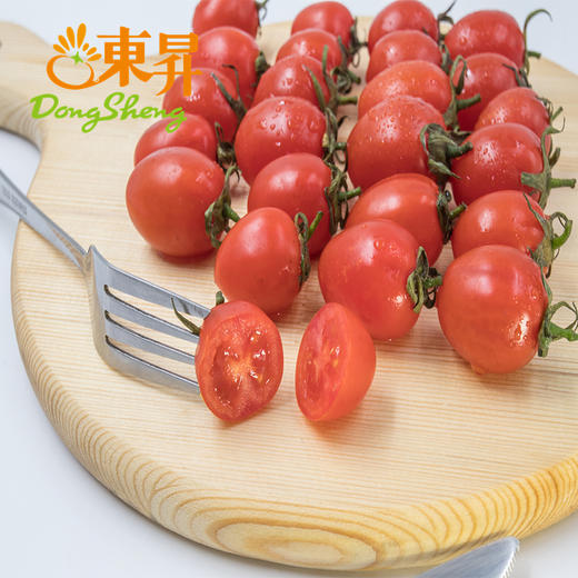 东升农场   圣女果 樱桃小番茄 小西红柿水果珍珠小番茄 广州蔬菜新鲜 500g 商品图2
