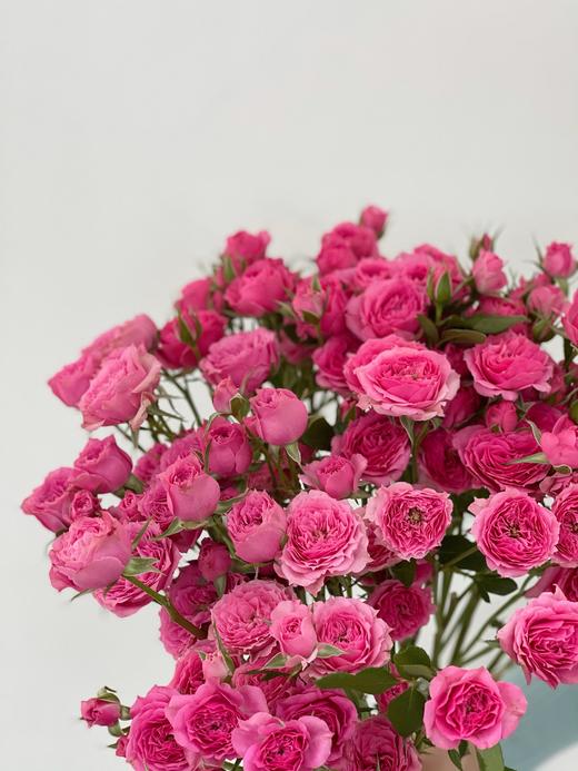 【周围团购】苏菲亚泡泡8枝59.8元 2人拼团 商品图1