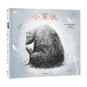小家伙 3-6岁 乔 韦弗 著 少儿认知