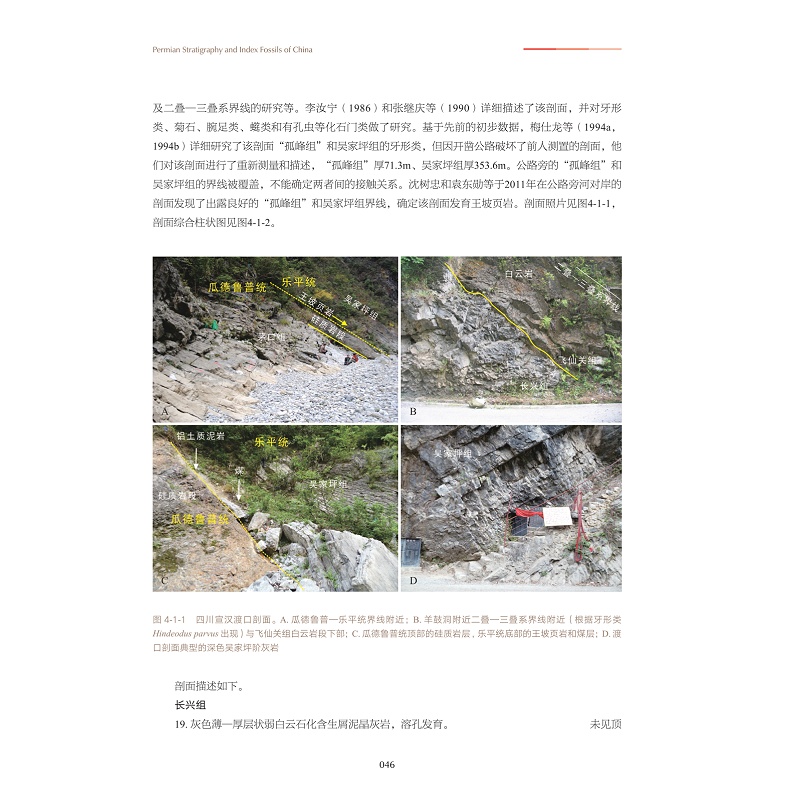 文前页+正文5页-中国二叠纪地层及标准化石图集_012.jpg