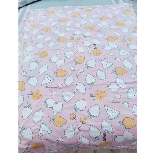 【19.9元/床】雅鹿洛卡棉儿童夏凉被1.2*1.45（1219498） 商品图2